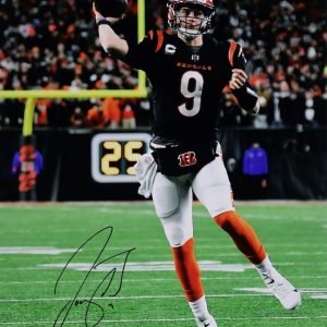 Joe Burrow Cincinnati Bengals Autographed 16x20 Photo