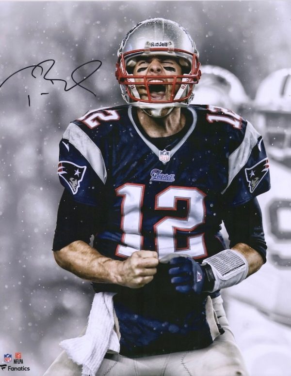 Tom Brady New England Patriots Autographed 16x20 Photo