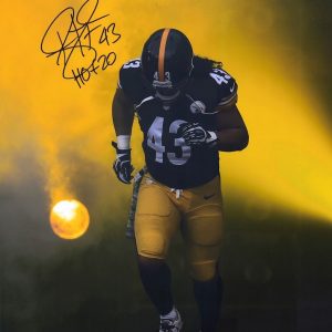 Troy Polamalu Pittsburgh Steelers Autographed 16x20 (Inscription)