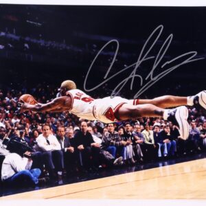 Dennis Rodman Chicago Bulls Autographed 16x20 Photo