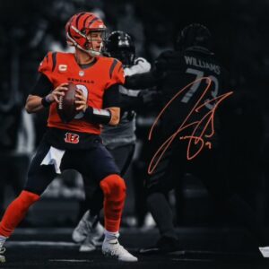 Joe Burrow Autographed Cincinnati Bengals 16x20 Photo (Fanatics)