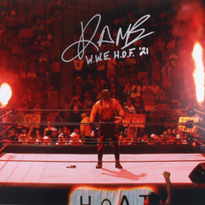 Kane Autographed WWE 16x20 Photo