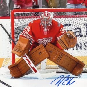 John Gibson Detroit Red Wings Goalie Pose Autographed 8x10 Photo