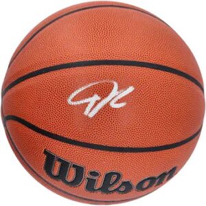 Giannis Antetokounmpo Milwaukee Bucks Autographed Wilson Indoor/Outdoor Basketball